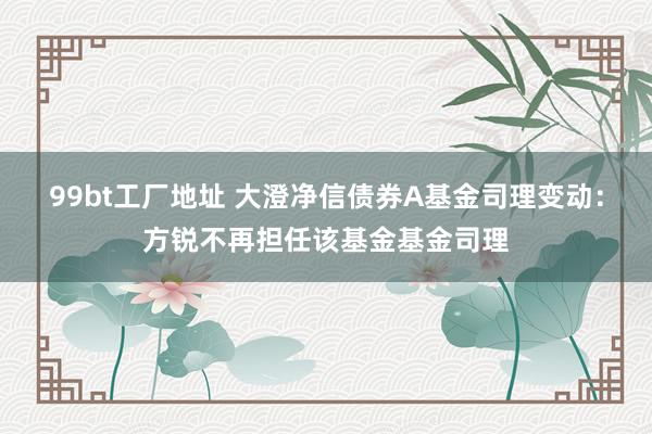 99bt工厂地址 大澄净信债券A基金司理变动：方锐不再担任该基金基金司理