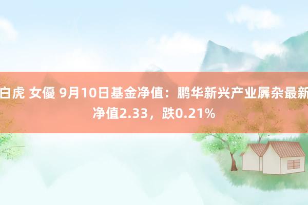 白虎 女優 9月10日基金净值：鹏华新兴产业羼杂最新净值2.33，跌0.21%