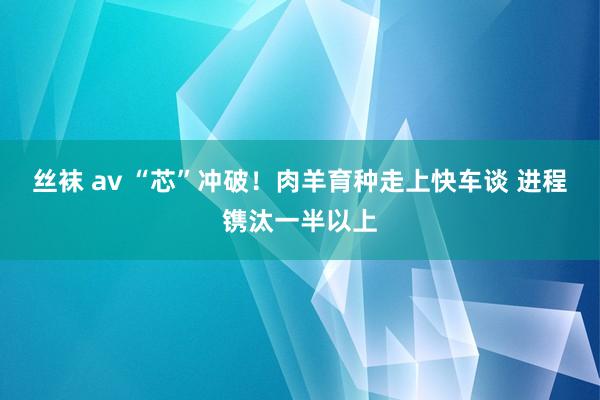 丝袜 av “芯”冲破！肉羊育种走上快车谈 进程镌汰一半以上