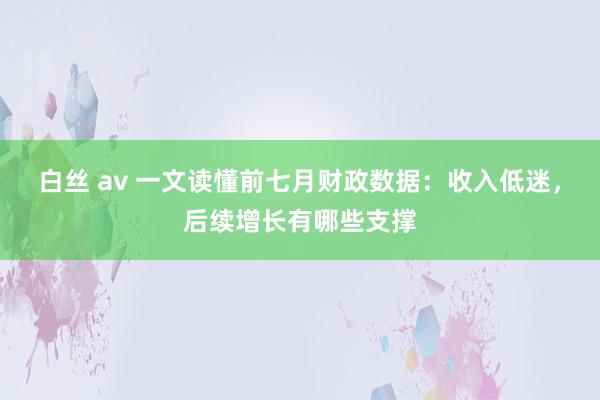 白丝 av 一文读懂前七月财政数据：收入低迷，后续增长有哪些支撑