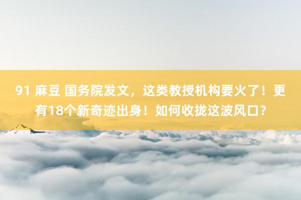 91 麻豆 国务院发文，这类教授机构要火了！更有18个新奇迹出身！如何收拢这波风口？