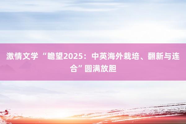 激情文学 “瞻望2025：中英海外栽培、翻新与连合”圆满放胆