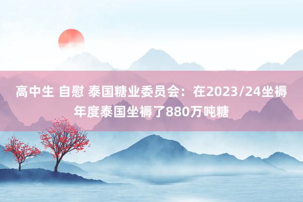 高中生 自慰 泰国糖业委员会：在2023/24坐褥年度泰国坐褥了880万吨糖