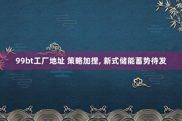 99bt工厂地址 策略加捏， 新式储能蓄势待发