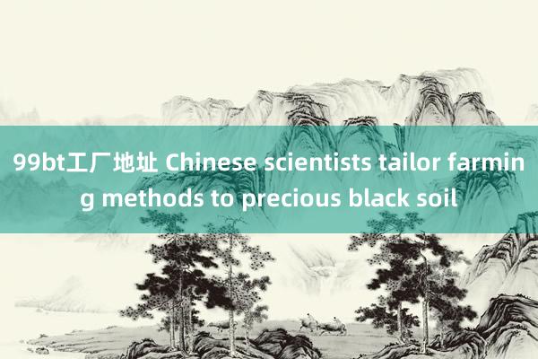 99bt工厂地址 Chinese scientists tailor farming methods to precious black soil