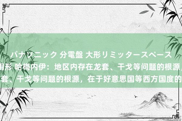 パナソニック 分電盤 大形リミッタースペースなし 露出・半埋込両用形 哈梅内伊：地区内存在龙套、干戈等问题的根源，在于好意思国等西方国度的存在