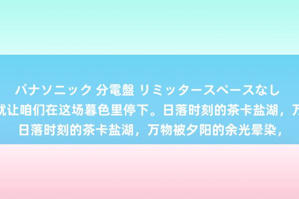 パナソニック 分電盤 リミッタースペースなし 露出・半埋込両用形 就让咱们在这场暮色里停下。日落时刻的茶卡盐湖，万物被夕阳的余光晕染，