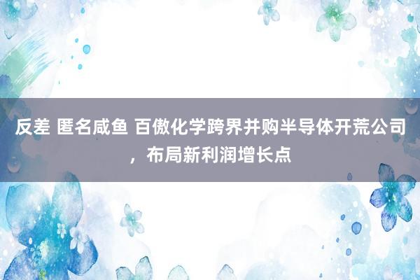 反差 匿名咸鱼 百傲化学跨界并购半导体开荒公司，布局新利润增长点