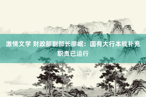 激情文学 财政部副部长廖岷：国有大行本钱补充职责已运行