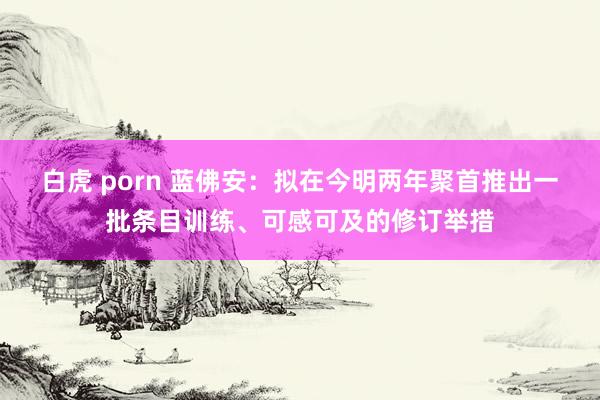 白虎 porn 蓝佛安：拟在今明两年聚首推出一批条目训练、可感可及的修订举措