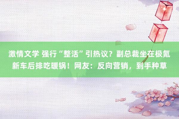 激情文学 强行“整活”引热议？副总裁坐在极氪新车后排吃暖锅！网友：反向营销，到手种草