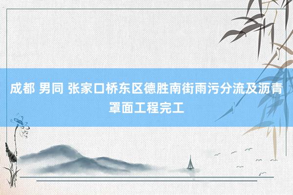 成都 男同 张家口桥东区德胜南街雨污分流及沥青罩面工程完工