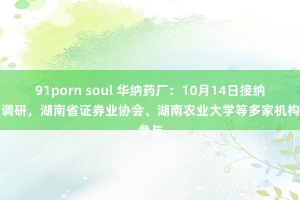 91porn soul 华纳药厂：10月14日接纳机构调研，湖南省证券业协会、湖南农业大学等多家机构参与