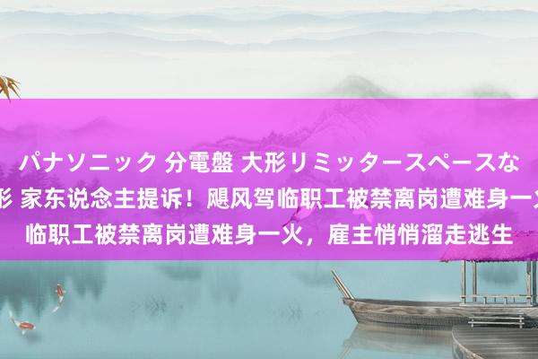 パナソニック 分電盤 大形リミッタースペースなし 露出・半埋込両用形 家东说念主提诉！飓风驾临职工被禁离岗遭难身一火，雇主悄悄溜走逃生