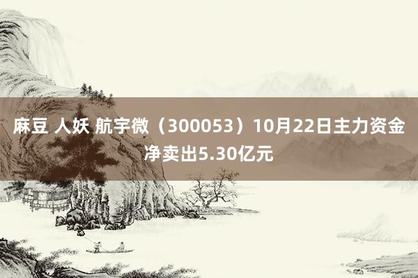 麻豆 人妖 航宇微（300053）10月22日主力资金净卖出5.30亿元