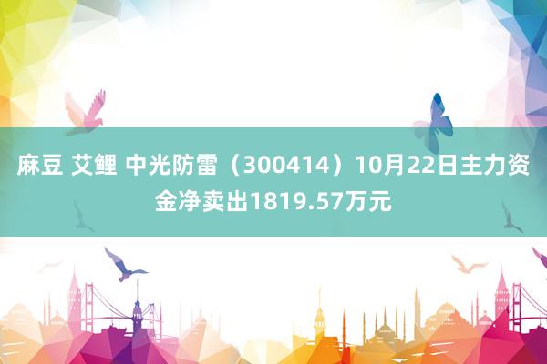 麻豆 艾鲤 中光防雷（300414）10月22日主力资金净卖出1819.57万元