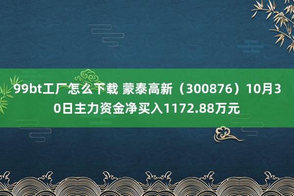 99bt工厂怎么下载 蒙泰高新（300876）10月30日主力资金净买入1172.88万元