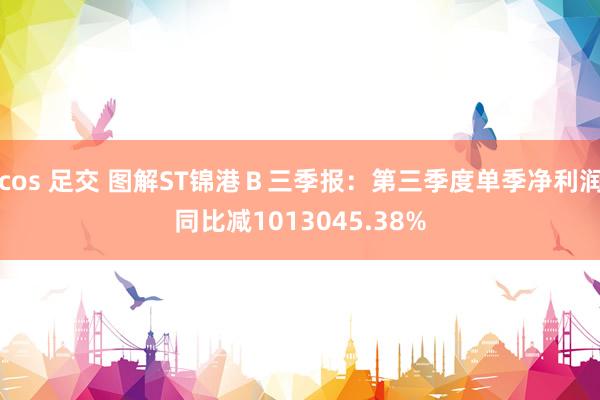 cos 足交 图解ST锦港Ｂ三季报：第三季度单季净利润同比减1013045.38%