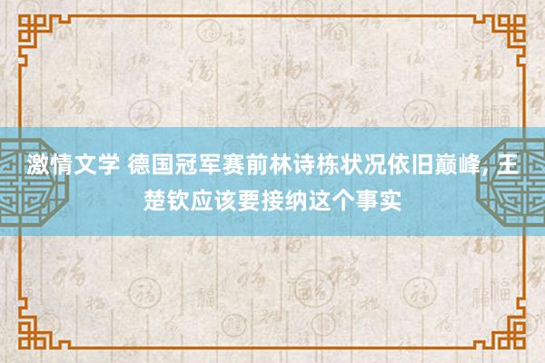 激情文学 德国冠军赛前林诗栋状况依旧巅峰， 王楚钦应该要接纳这个事实