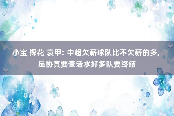 小宝 探花 袁甲: 中超欠薪球队比不欠薪的多， 足协真要查活水好多队要终结