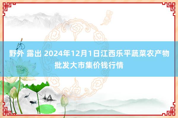 野外 露出 2024年12月1日江西乐平蔬菜农产物批发大市集价钱行情