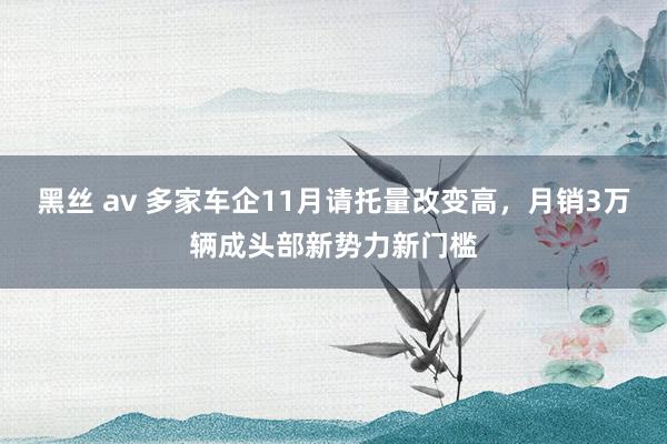 黑丝 av 多家车企11月请托量改变高，月销3万辆成头部新势力新门槛