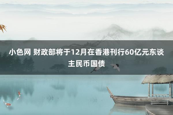 小色网 财政部将于12月在香港刊行60亿元东谈主民币国债