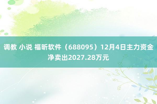 调教 小说 福昕软件（688095）12月4日主力资金净卖出2027.28万元