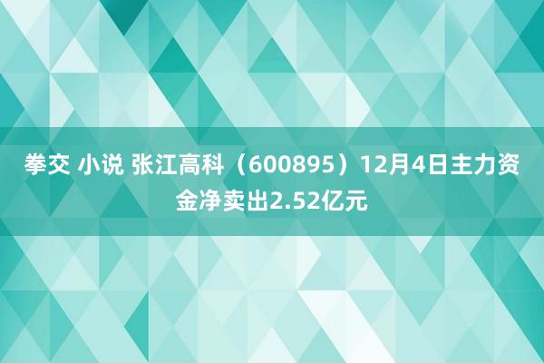 拳交 小说 张江高科（600895）12月4日主力资金净卖出2.52亿元