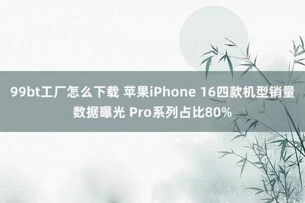 99bt工厂怎么下载 苹果iPhone 16四款机型销量数据曝光 Pro系列占比80%