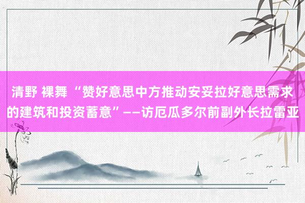 清野 裸舞 “赞好意思中方推动安妥拉好意思需求的建筑和投资蓄意”——访厄瓜多尔前副外长拉雷亚