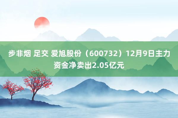 步非烟 足交 爱旭股份（600732）12月9日主力资金净卖出2.05亿元