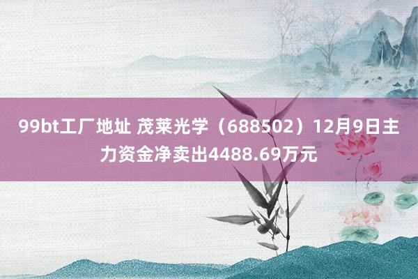 99bt工厂地址 茂莱光学（688502）12月9日主力资金净卖出4488.69万元