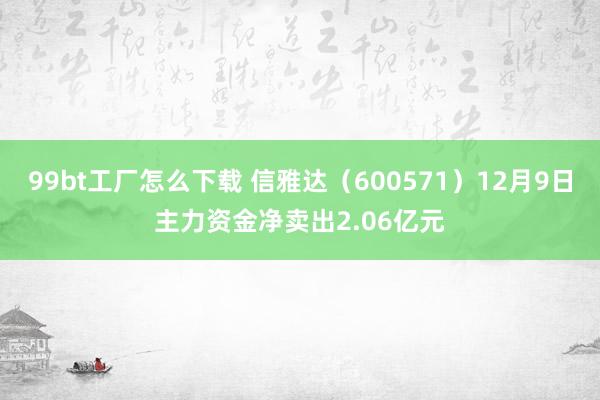 99bt工厂怎么下载 信雅达（600571）12月9日主力资金净卖出2.06亿元