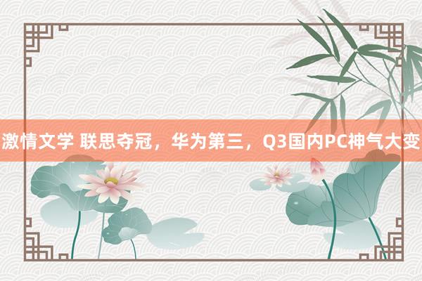 激情文学 联思夺冠，华为第三，Q3国内PC神气大变