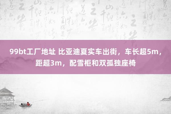 99bt工厂地址 比亚迪夏实车出街，车长超5m，距超3m，配雪柜和双孤独座椅