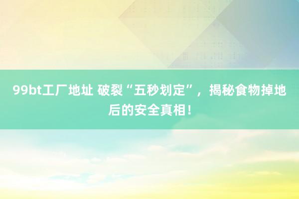 99bt工厂地址 破裂“五秒划定”，揭秘食物掉地后的安全真相！