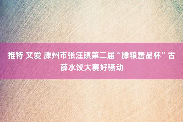 推特 文爱 滕州市张汪镇第二届“滕粮善品杯”古薛水饺大赛好骚动