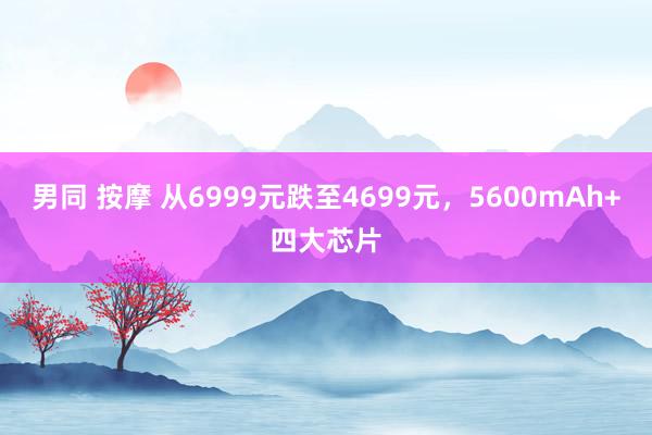 男同 按摩 从6999元跌至4699元，5600mAh+四大芯片