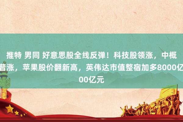 推特 男同 好意思股全线反弹！科技股领涨，中概股普涨，苹果股价翻新高，英伟达市值整宿加多8000亿元