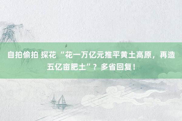 自拍偷拍 探花 “花一万亿元推平黄土高原，再造五亿亩肥土”？多省回复！