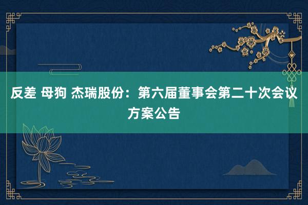 反差 母狗 杰瑞股份：第六届董事会第二十次会议方案公告