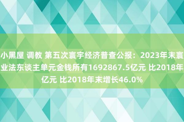 小黑屋 调教 第五次寰宇经济普查公报：2023年末寰宇房地产业企业法东谈主单元金钱所有1692867.5亿元 比2018年末增长46.0%