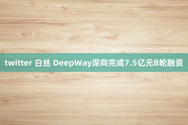 twitter 白丝 DeepWay深向完成7.5亿元B轮融资