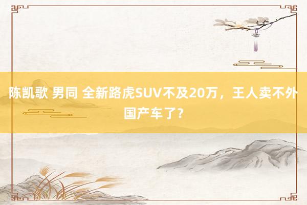 陈凯歌 男同 全新路虎SUV不及20万，王人卖不外国产车了？