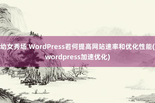 幼女秀场 WordPress若何提高网站速率和优化性能(wordpress加速优化)