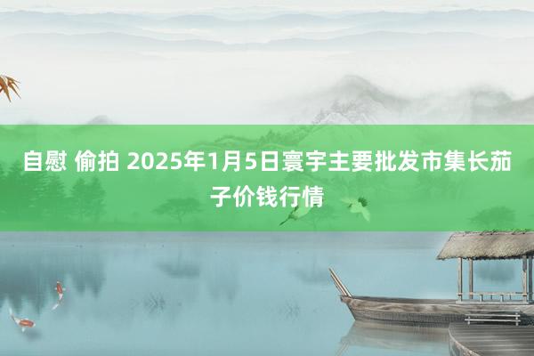 自慰 偷拍 2025年1月5日寰宇主要批发市集长茄子价钱行情