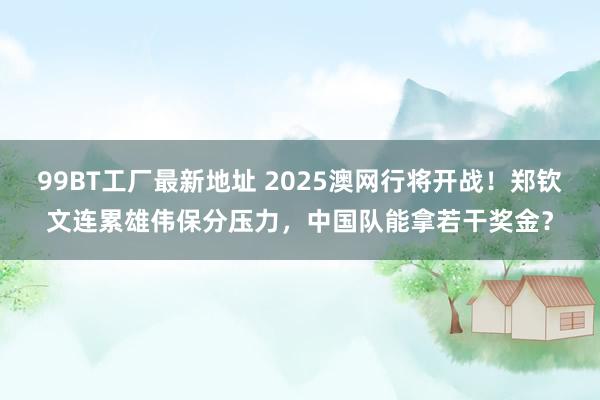 99BT工厂最新地址 2025澳网行将开战！郑钦文连累雄伟保分压力，中国队能拿若干奖金？