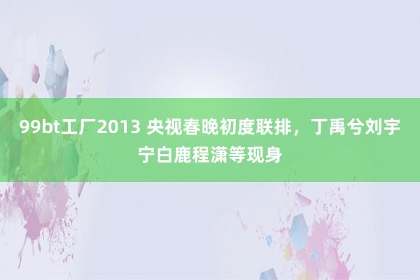 99bt工厂2013 央视春晚初度联排，丁禹兮刘宇宁白鹿程潇等现身