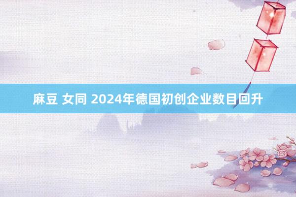 麻豆 女同 2024年德国初创企业数目回升